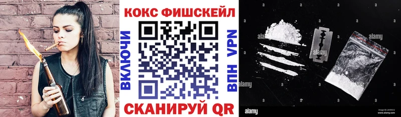 Кокаин Fish Scale  Новоузенск 