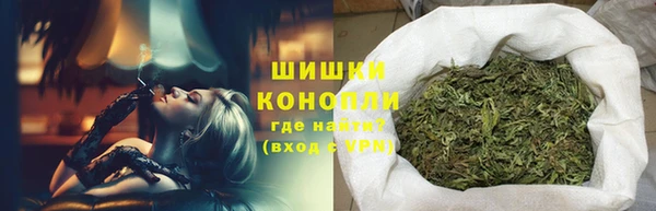 прущие грибы Пролетарск