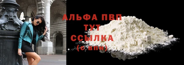 гашик Бежецк