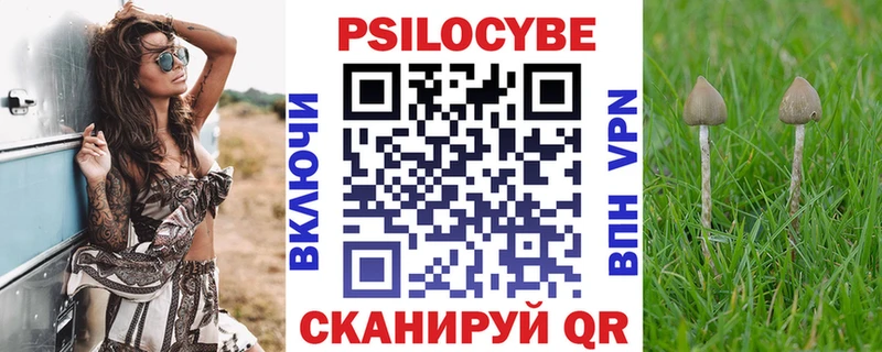 Галлюциногенные грибы MAGIC MUSHROOMS Новоузенск