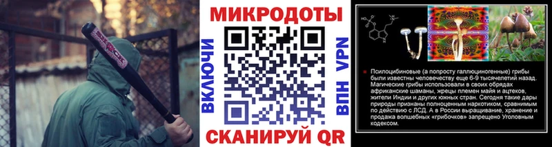 где купить наркотик  KRAKEN ТОР  Галлюциногенные грибы GOLDEN TEACHER  Новоузенск 